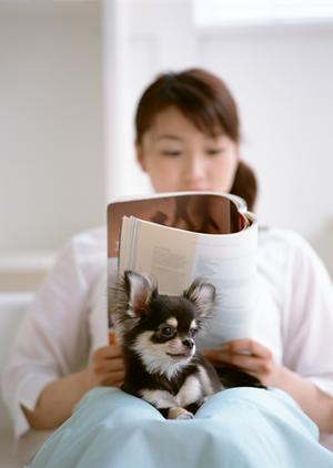 横須賀で犬の診療を任せられる動物病院