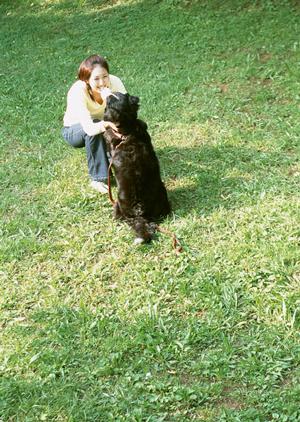 シロアリ駆除ならアサンテ｜土日祝も対応可能・即日施工も実現